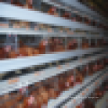 Direkten Hersteller gute Qualität billig Preis Huhn Schicht Käfig Preis